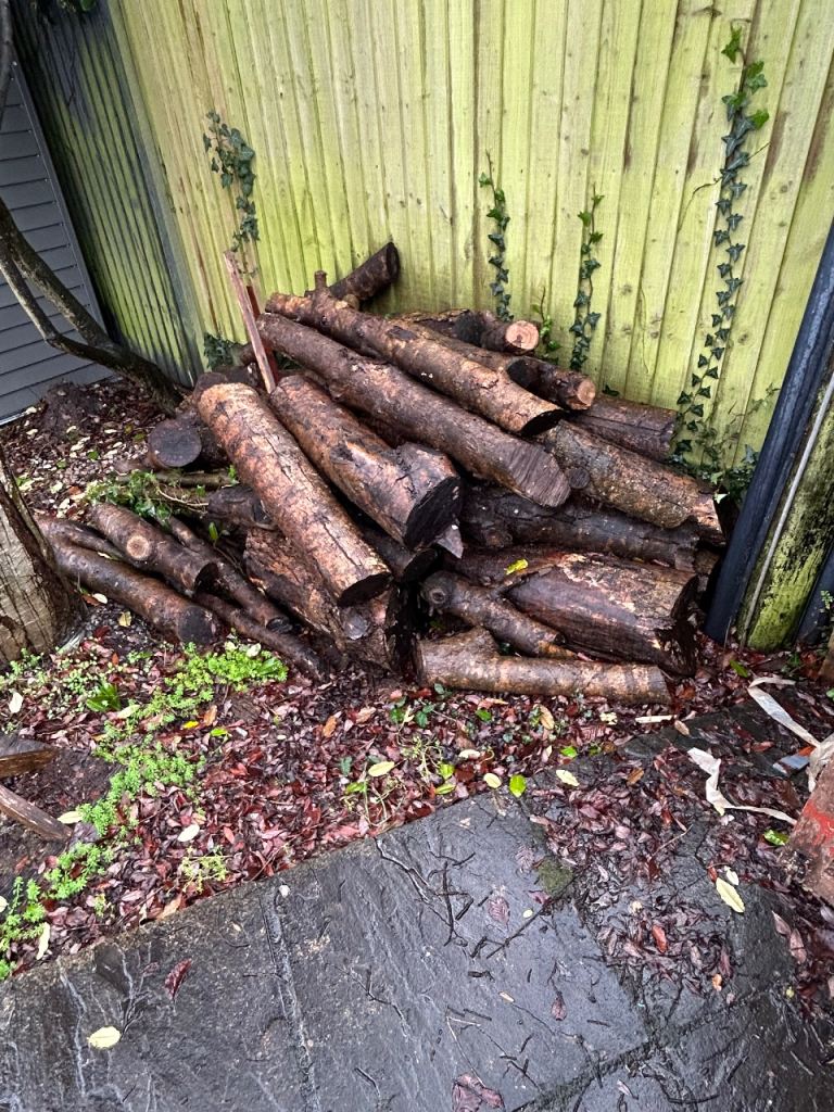 Hardwood ( ash) log and branch pieces 