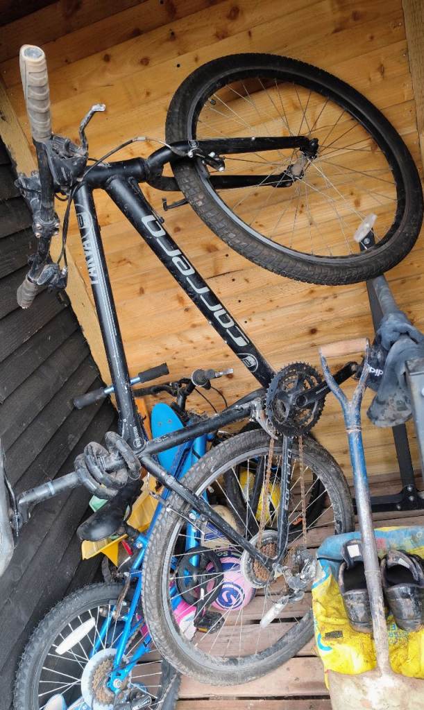 Bike Adult bycle Carrera 