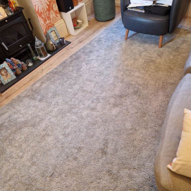 Ikea Rug