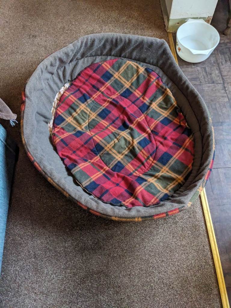 Dog bed