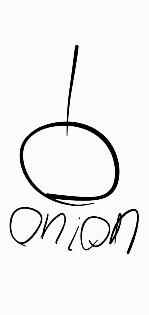 Onion drawing 