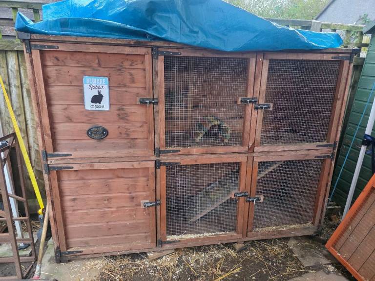 Large rabbit hutch