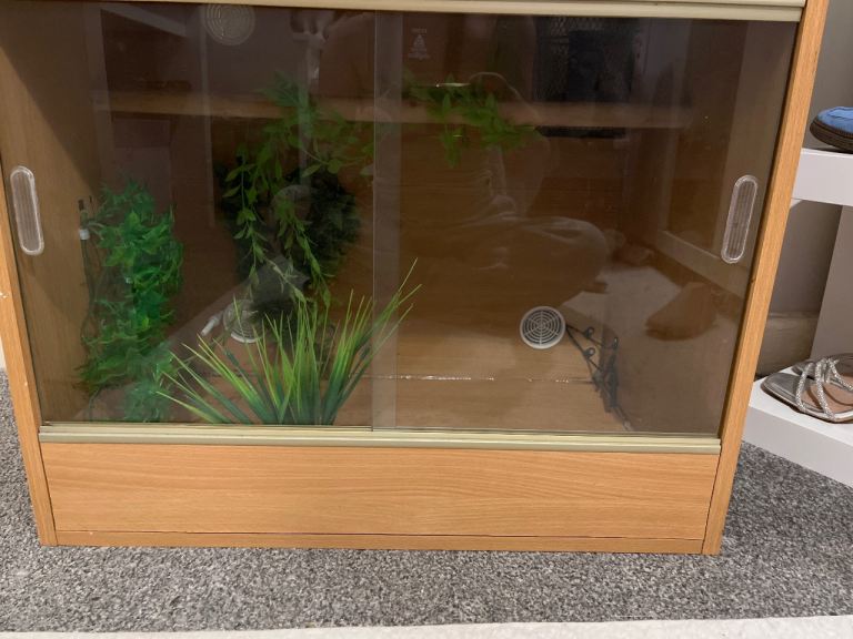 Reptile vivarium bundle