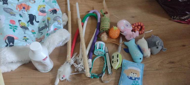 17 pieces of assorted cat toys 