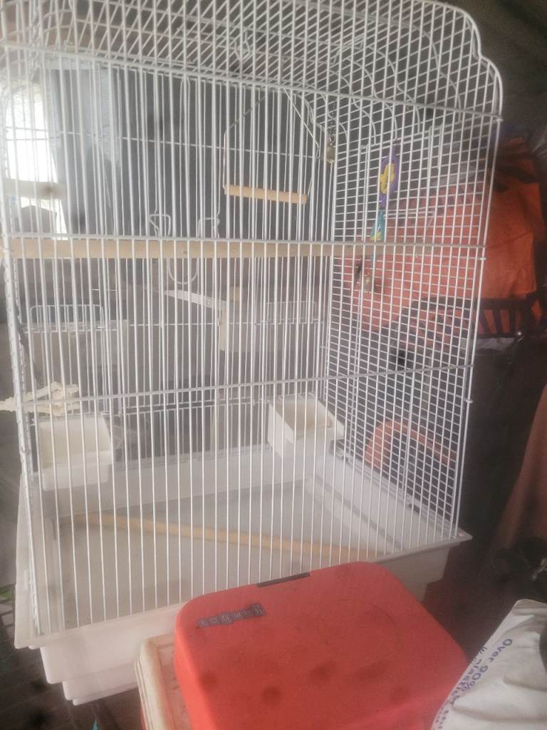 Bird cage. 