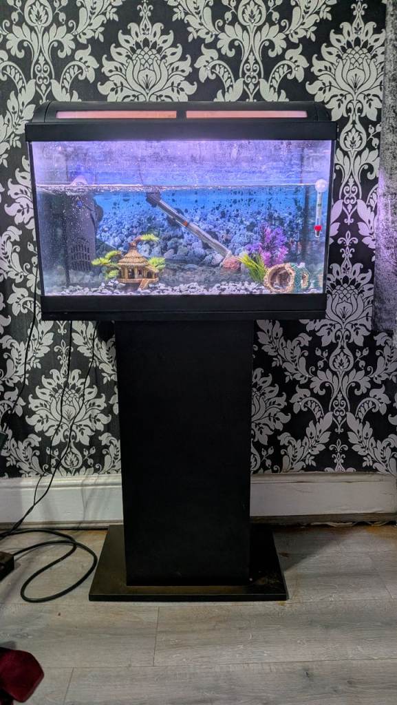 60 L Aquarium Fish Tank with Stand – Good Condition