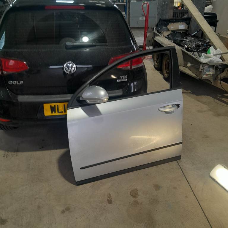 Vw passat passenger door