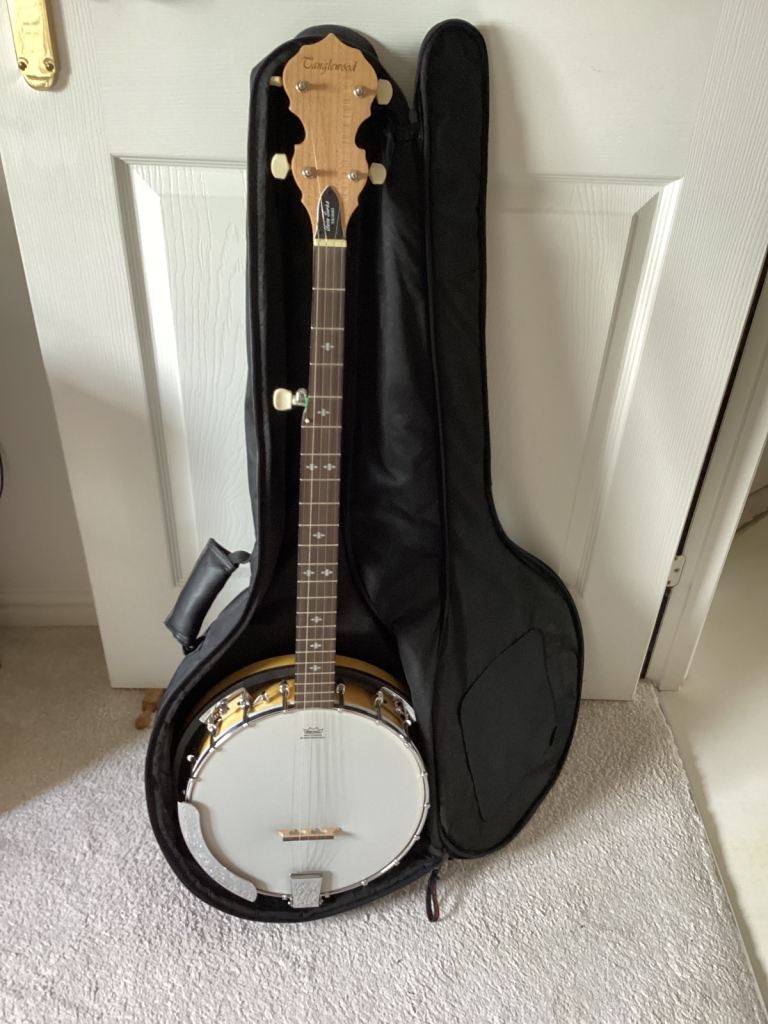Remo Weatherking Banjo with Black Carry Case - as good as new