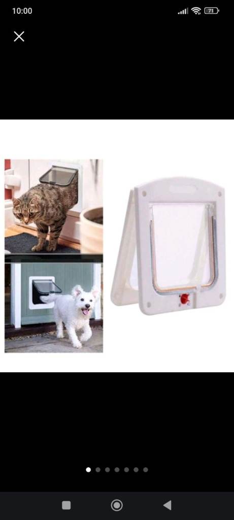 Pet cat dog flap door 