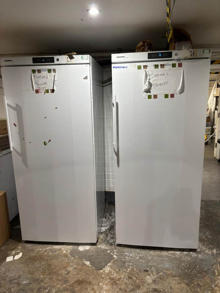 Tall Upright Fridge – Liebherr
