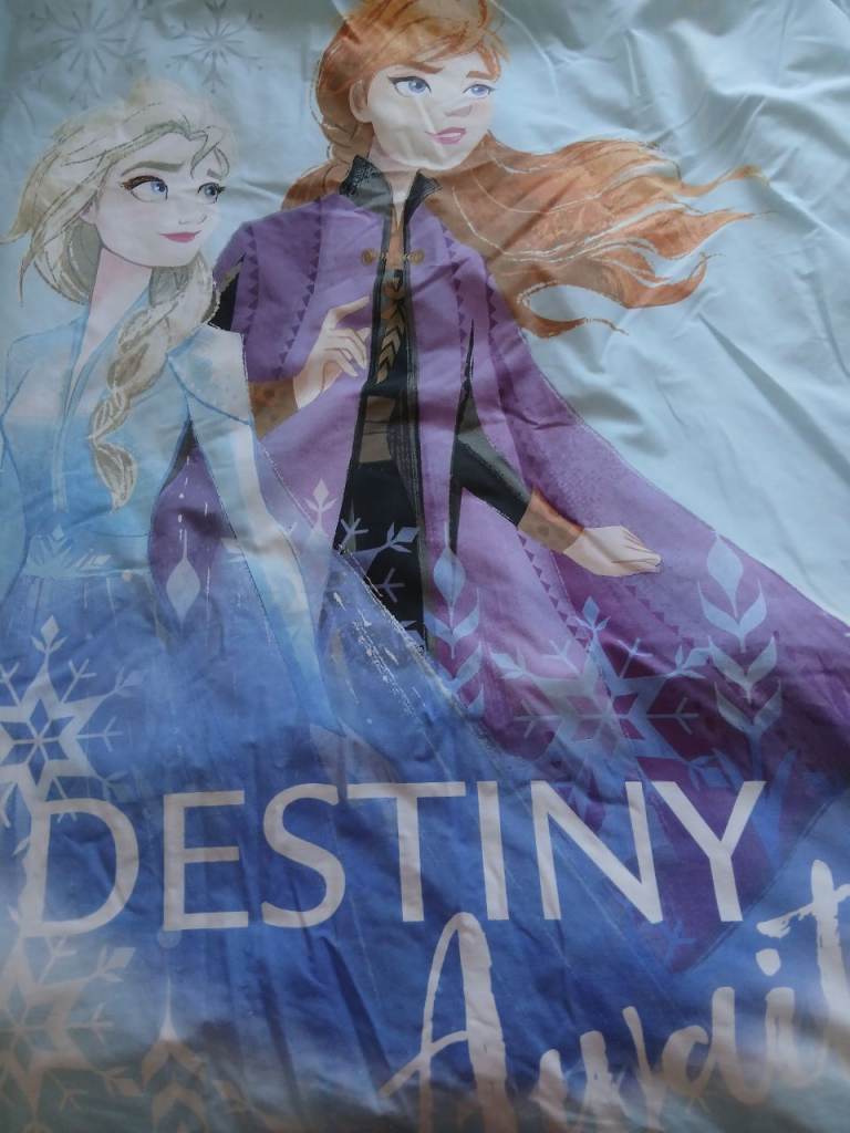 Frozen duvet cover & 4.5 tog duvet 