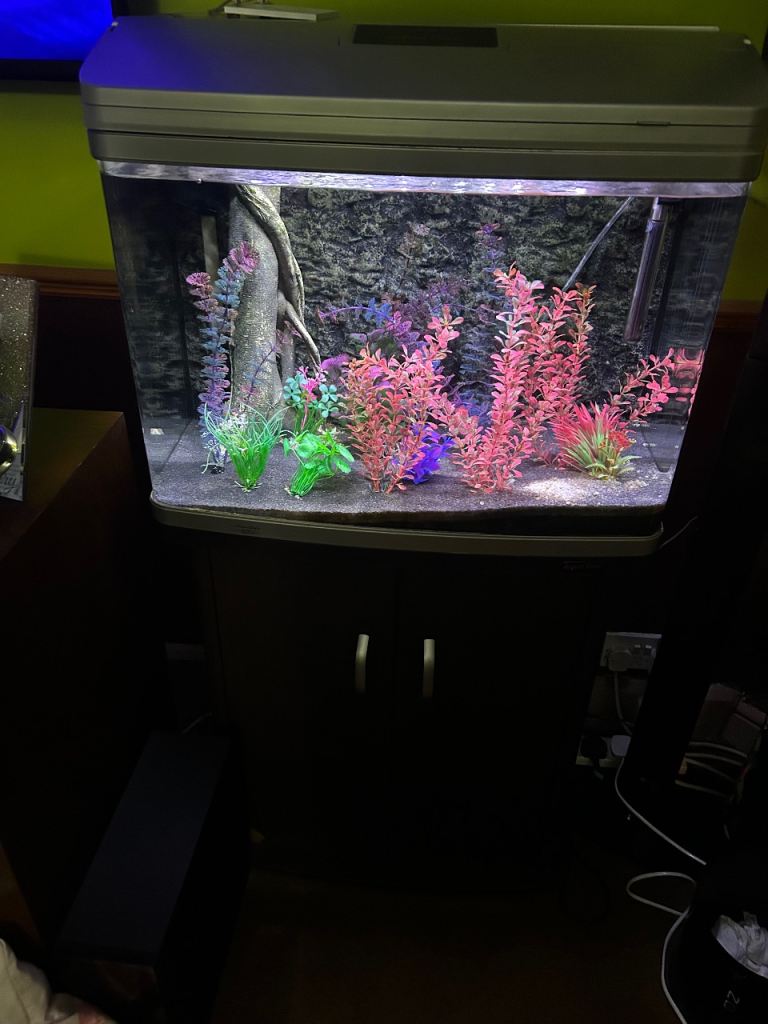 Aqua one 620 aquarium 