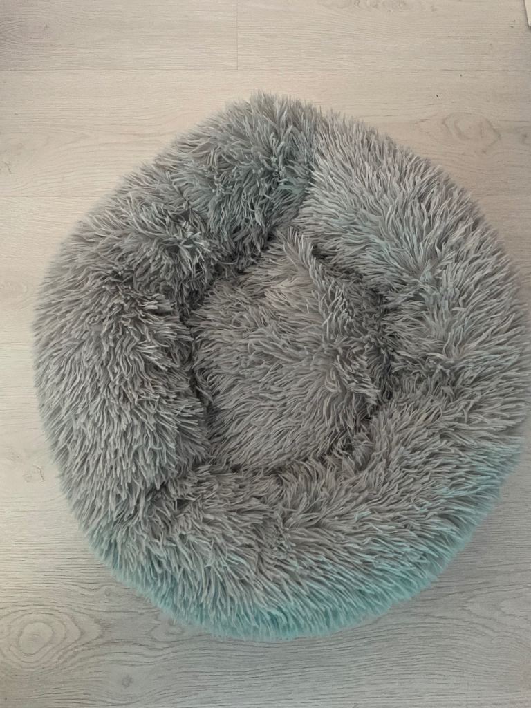 Cat beds new x 2