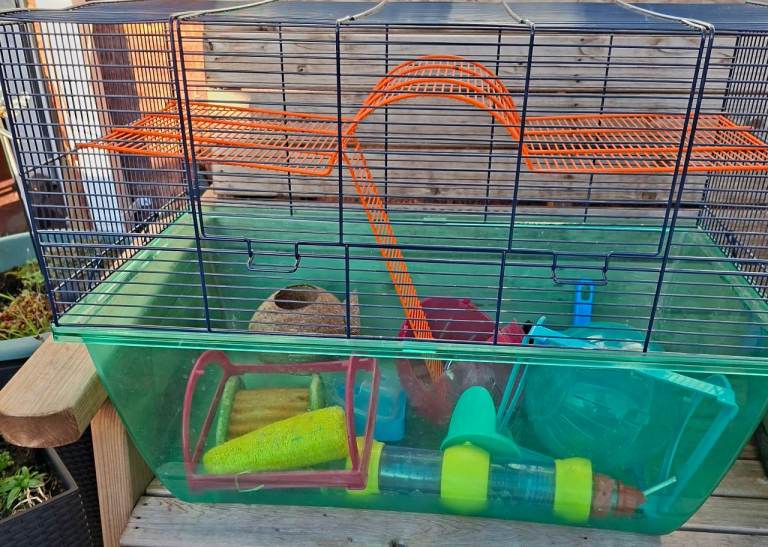 Large Hamster cage & accessories
