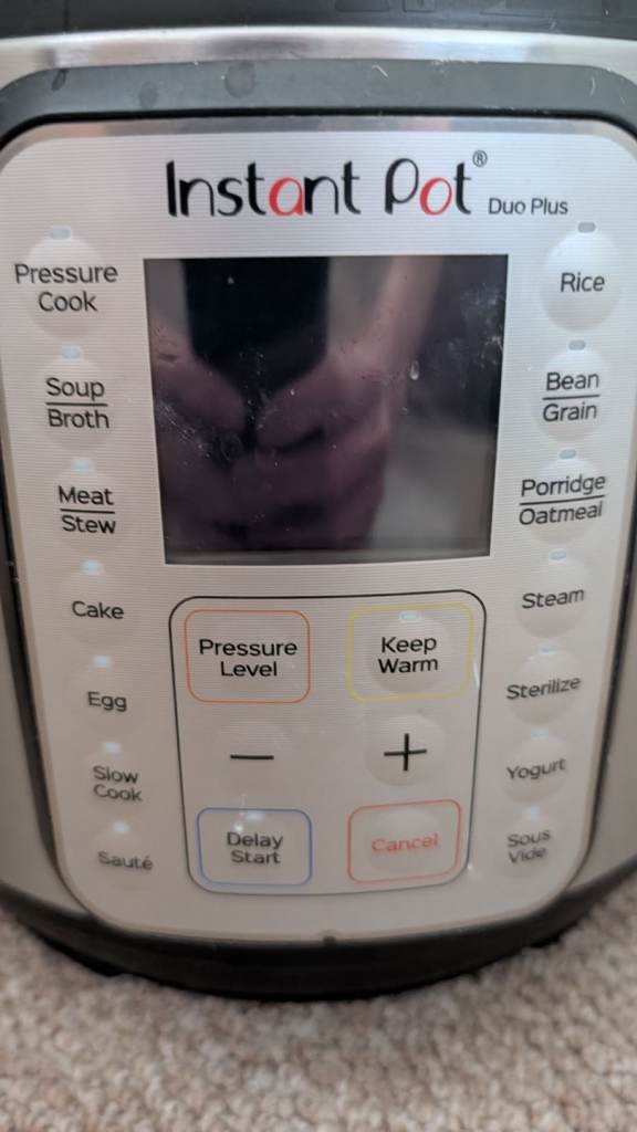 Instant Pot Duo Plus for sale 