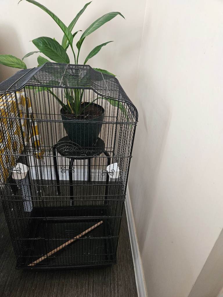 Large Budgie Cage 