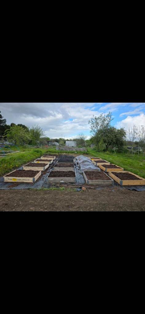 pallet collars allotment rised flower beds