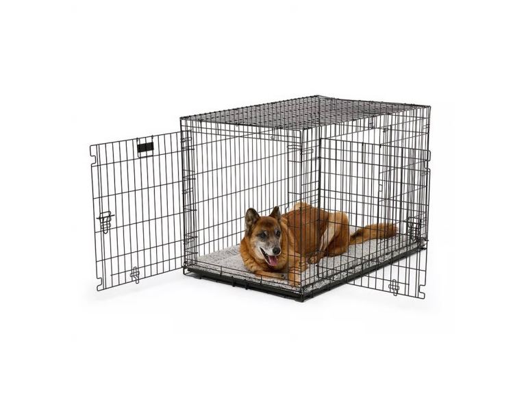 XL dog crate 
