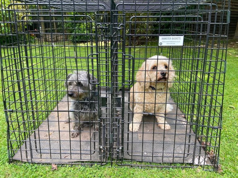 Custom made large dog crate