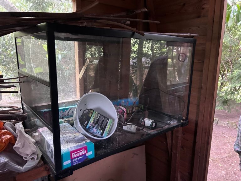 Large Glass Reptile Vivarium/Terrarium – Excellent Size