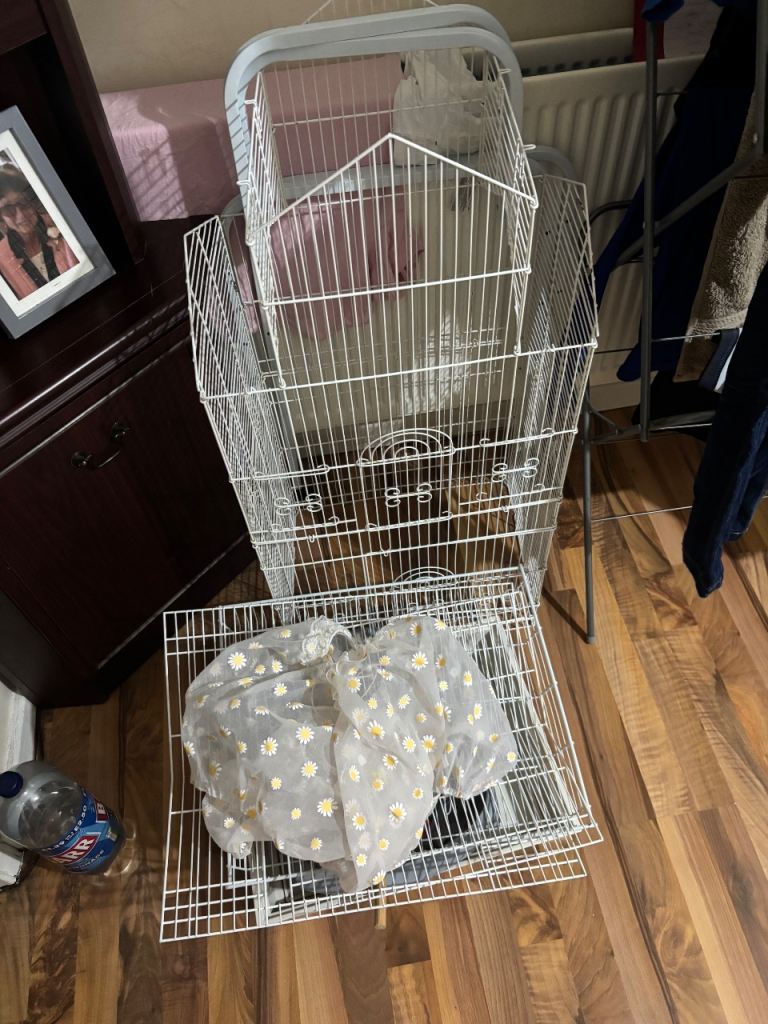 Budgie cadge and accessories 