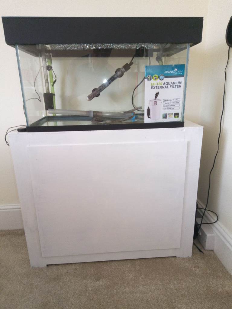 10 Gallon Fish Tank