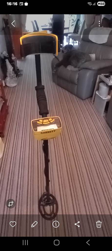 Metal detector Garrett 250
