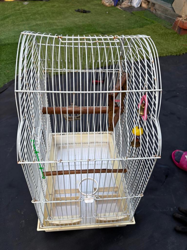Bird cage 