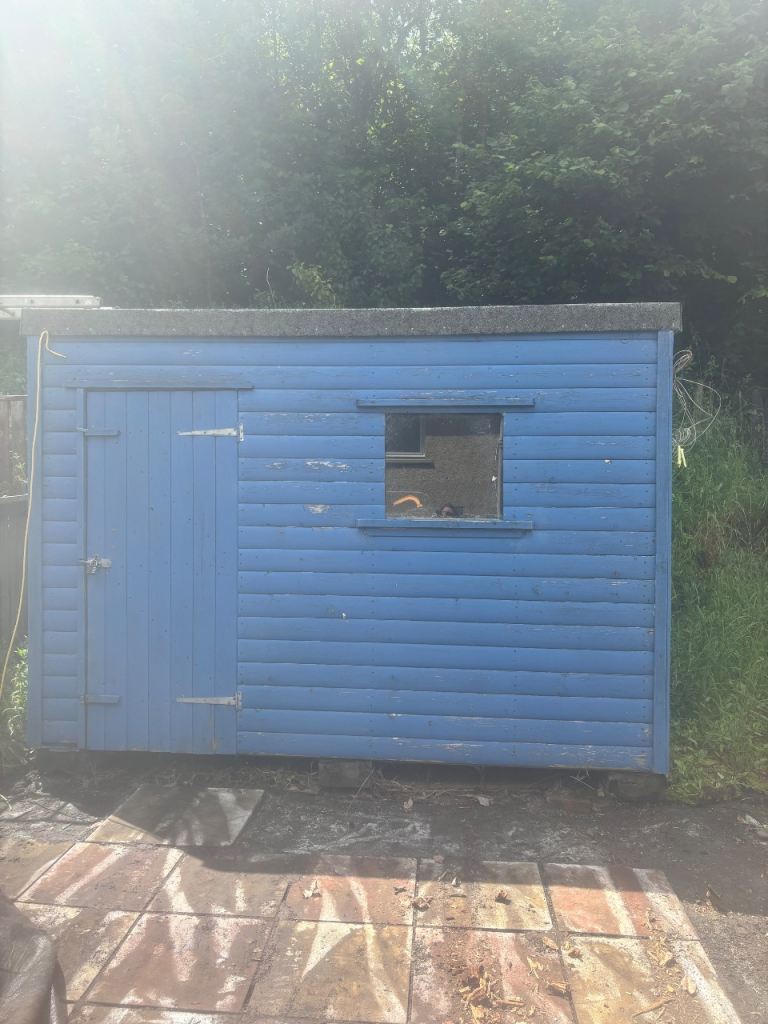 Sturdy Blue Garden Shed - 10x6ft Wood Store