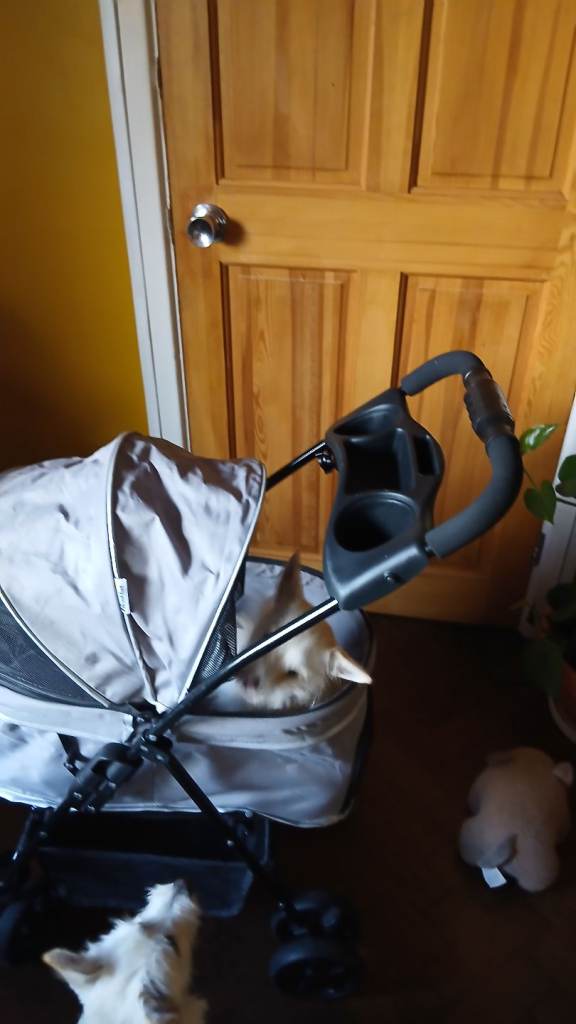 Dog buggy