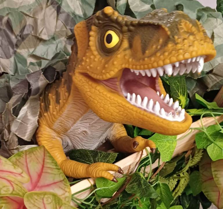 Dinosaur Themed Party 