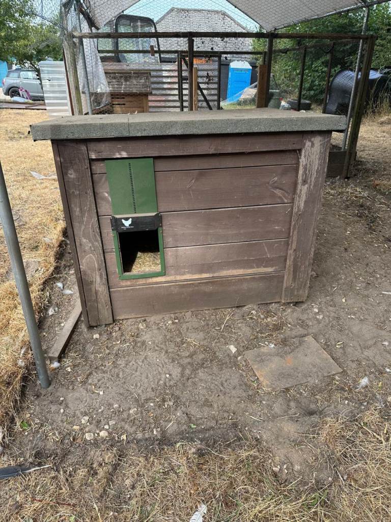 Homemade Sturdy Chicken Coop 