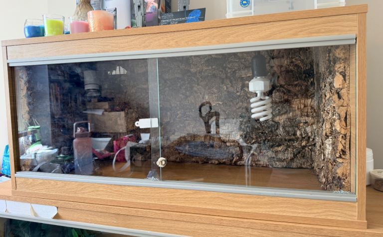 3ft vivarium for sale 