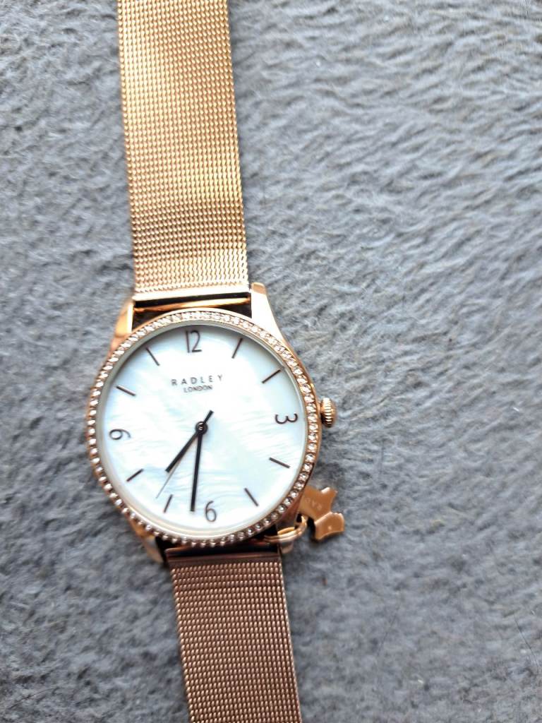 Radley ladies dog tag watch