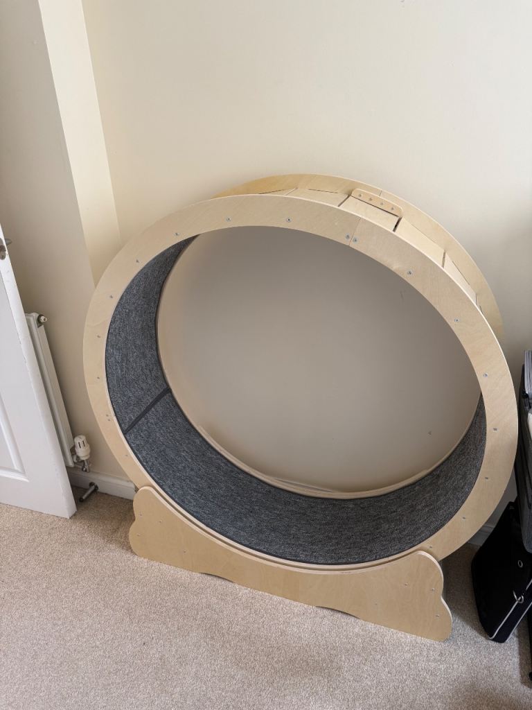 Cat exercise wheel