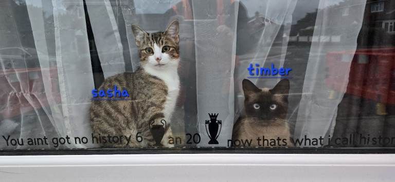 Sasha&timber 150£ each
