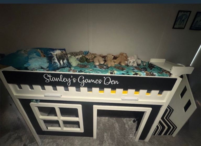 Cabin bed with built in tv (included)