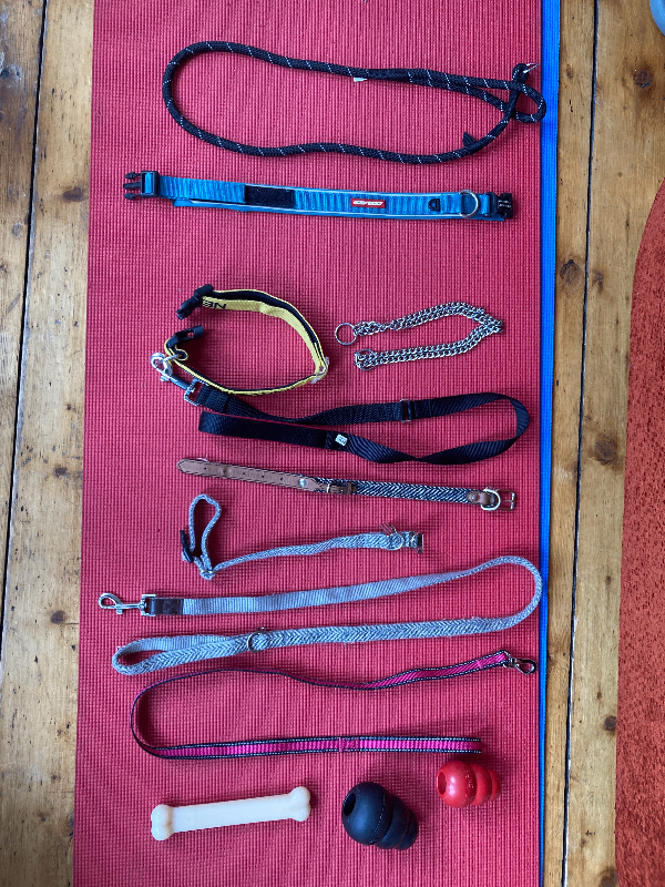 Dog collars, leashes, (largeish) crate, and lotsa tennis balls
