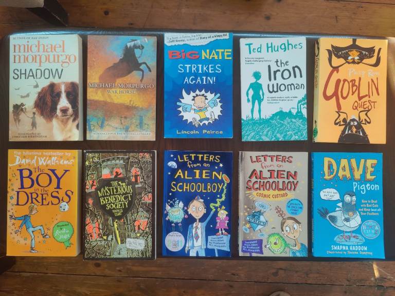 Children's Books Bundle - Michael Morpurgo, David Walliams & More