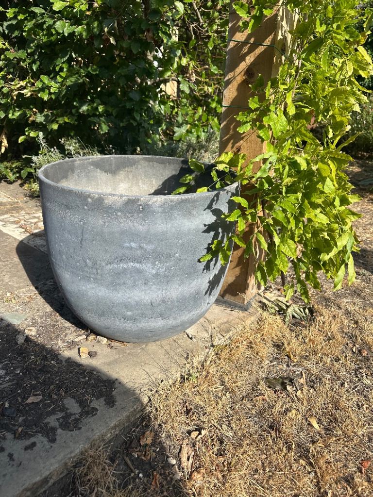 Big ceramic plant pots 