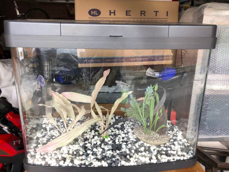 18'' fish tank