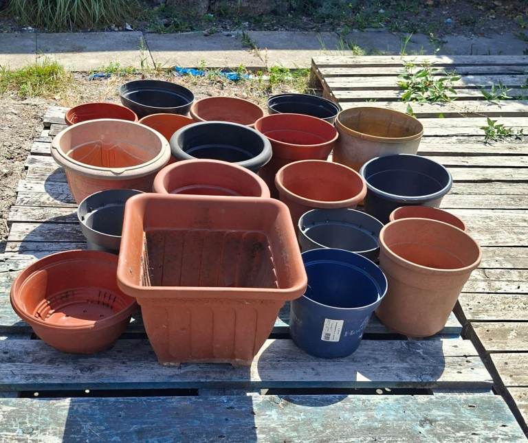 Flower Pot Bundle