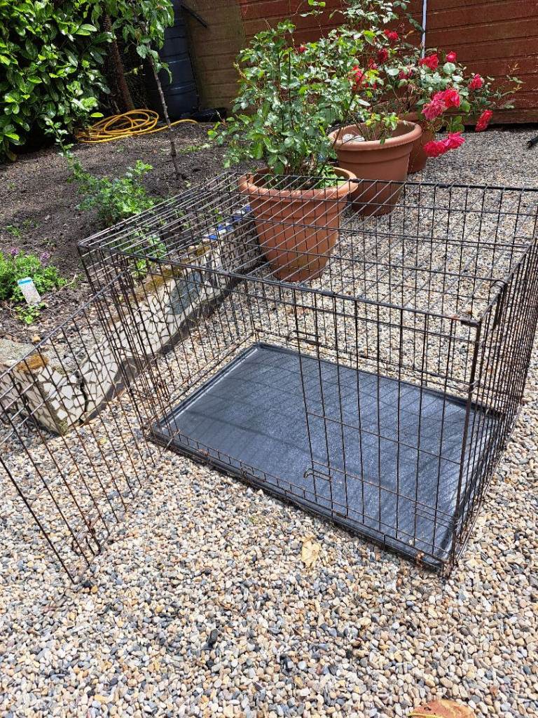 Dog  cages  large