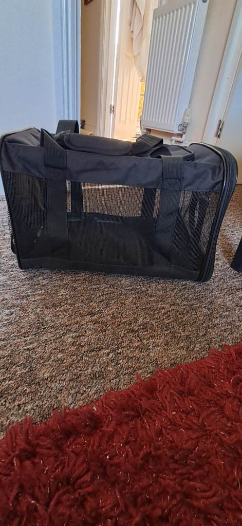 Cat/kitten bag