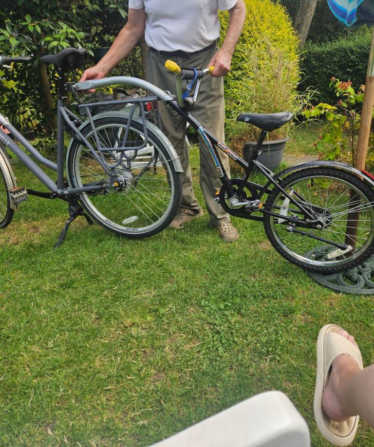Bicycle trailer for kids aged 3-5