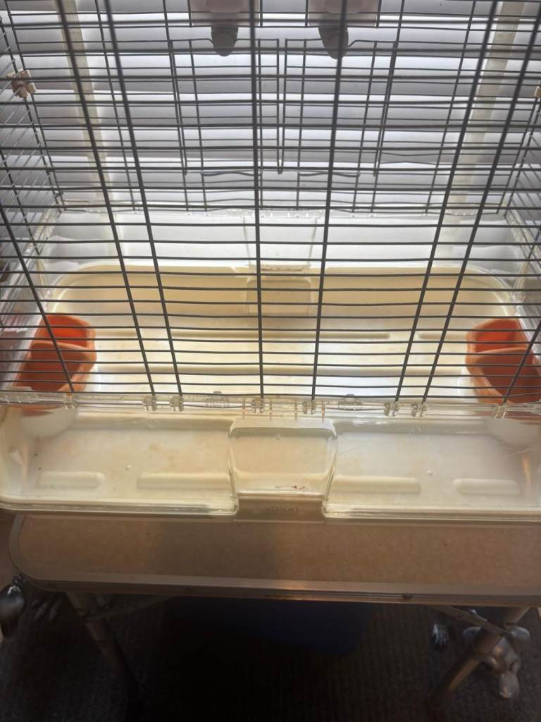 Bird cage 
