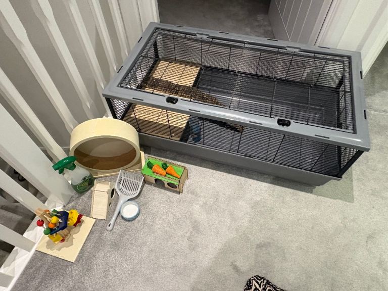 XL Syrian hamster cage plus accessories 