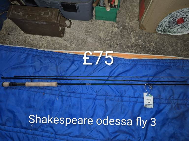 Fishing rod 