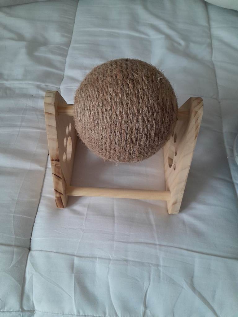 Free cat toys and bed