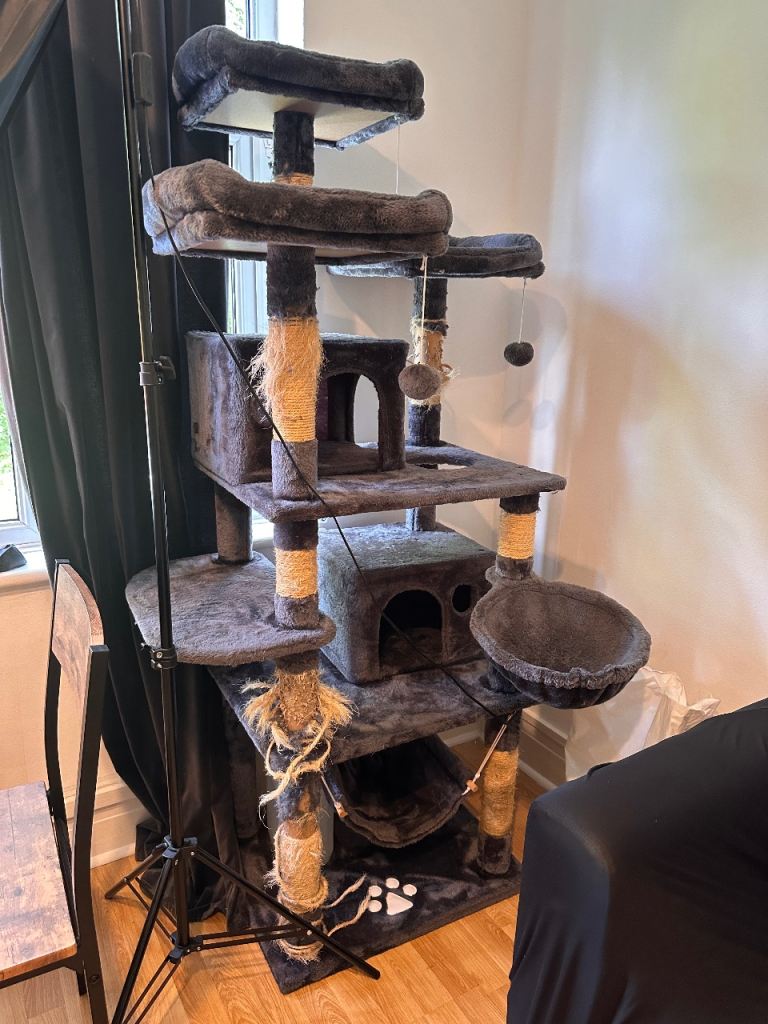 Big Cat Tower